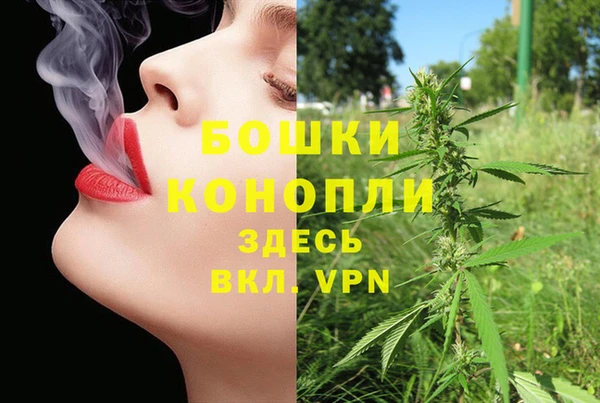стаф Пестово