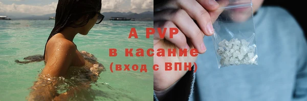 стаф Пестово
