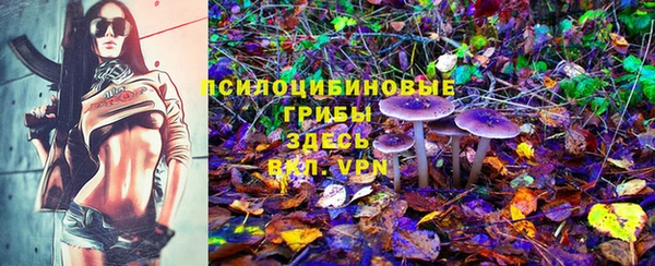 стаф Пестово
